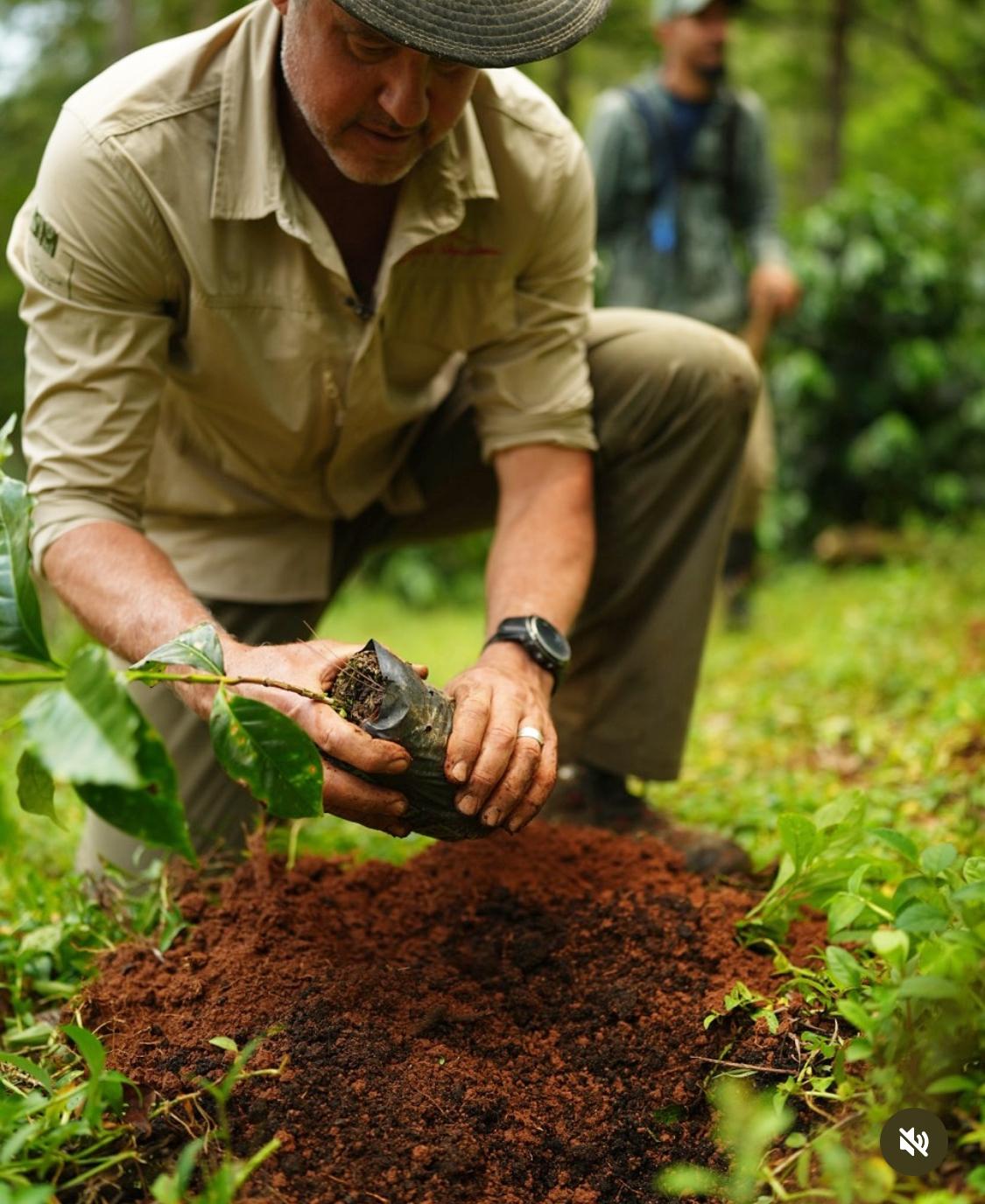 Regenerative Farming, the Future… and Why Dirt Still Matters