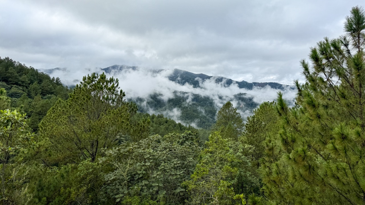 Estancia Natura and the Environment: A Response for People Who Care About Facts